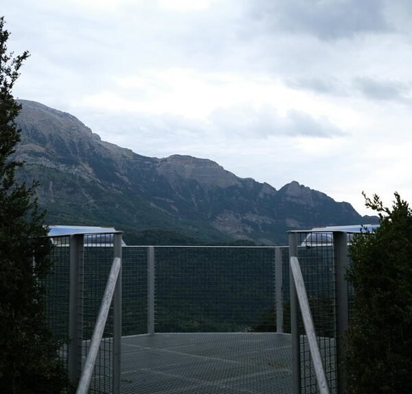 Elevate Your Services 371022220 Online Platform