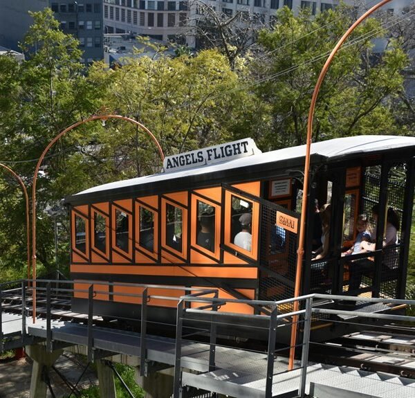 elevate your marketing strategy