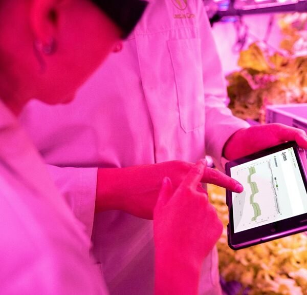 Strengthen Your Growth 423782111 Digital Tools