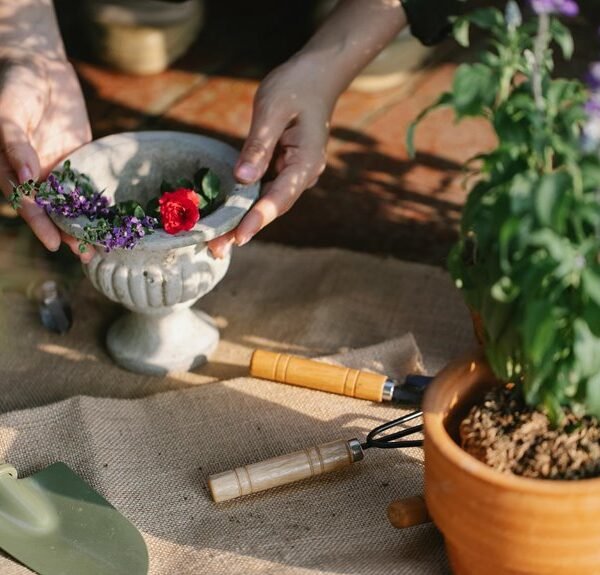 optimize growth with tools